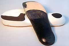 Karboneinlage Karboneinlage